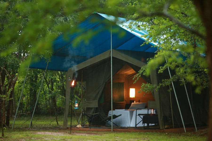Udawalawe Safari: Cinematic Glamping in the Wild