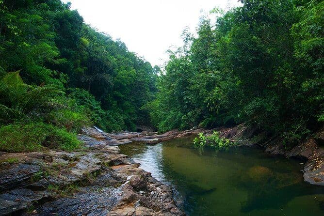 Walawe river: The Jungle Stream