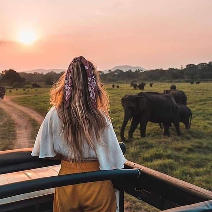 The Ultimate Guide to Udawalawe Safari: First-Timer Tips and Must-See Spots