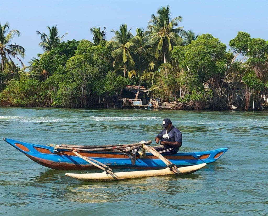 Beyond the Jeep Track: Exploring the Stunning Udawalawe Reservoir and Dam