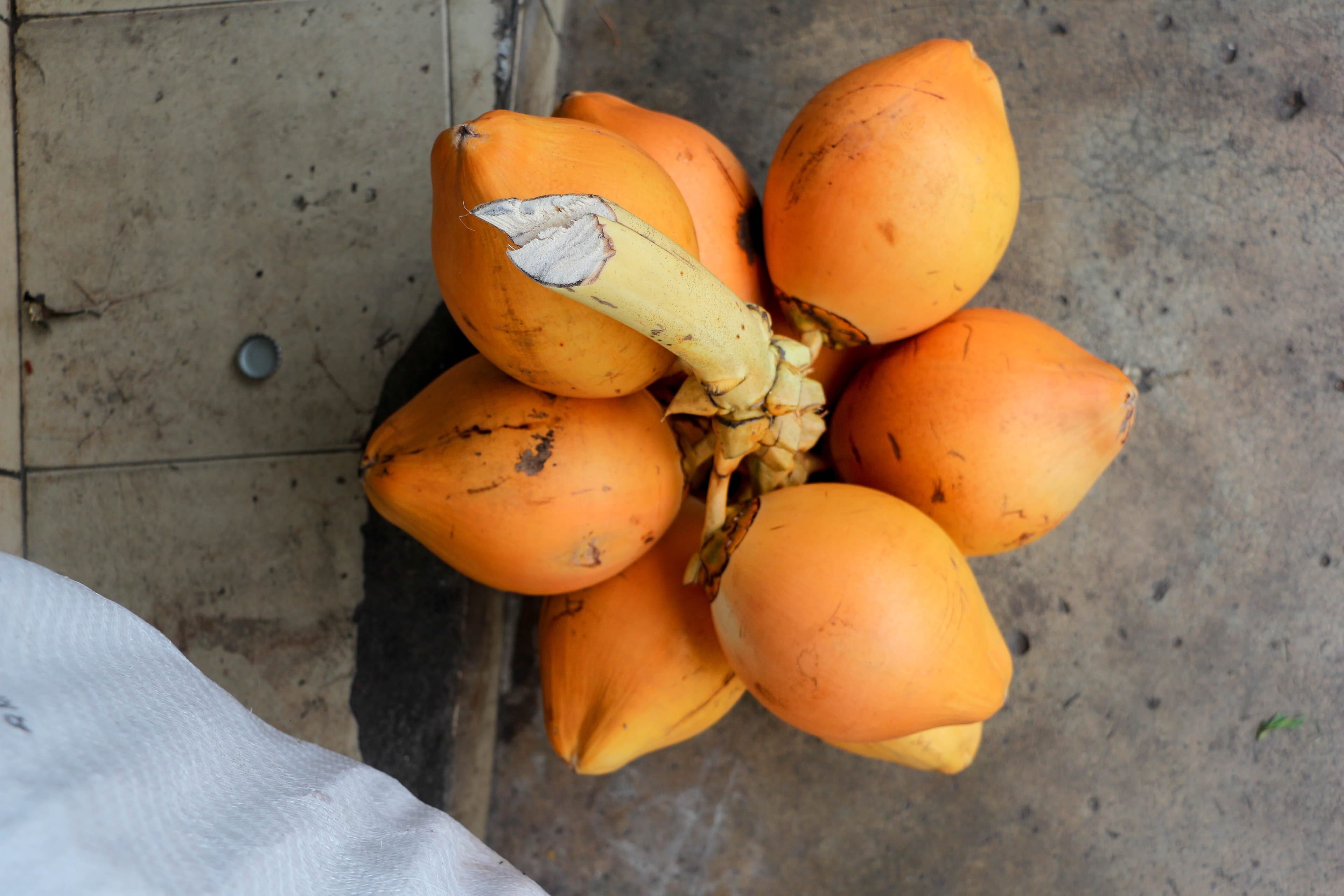 The Tropical Quench: A Guide to Udawalawe's Juices, Fruits, and King Coconut (Thambili)