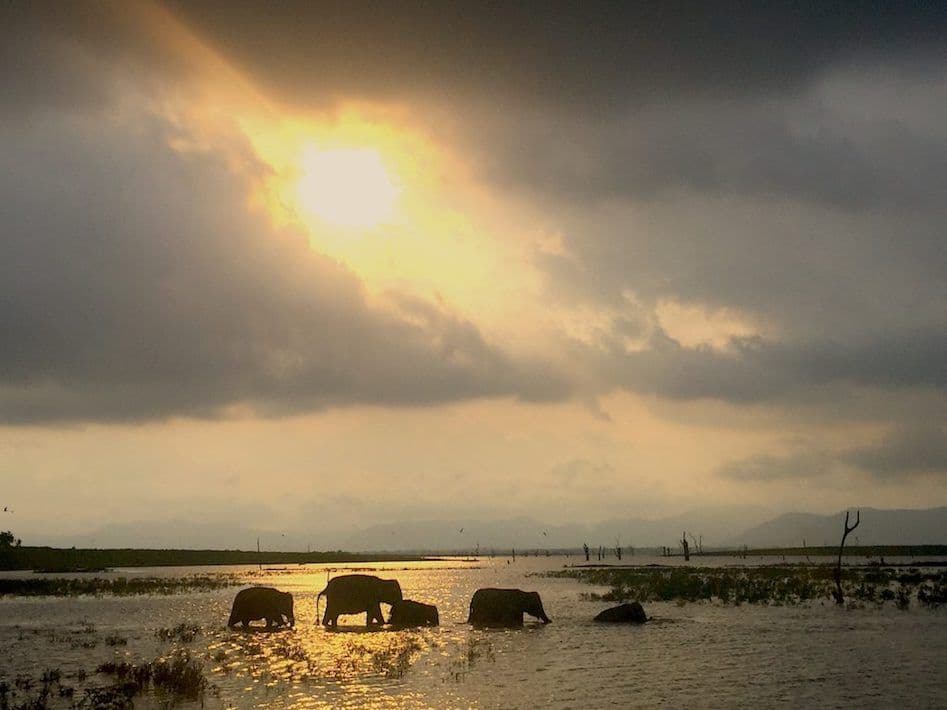 Article photo